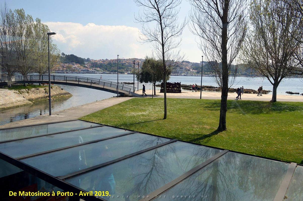 0823 - De Matosinhos a Porto.JPG
